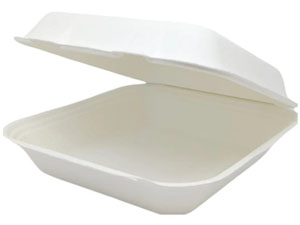 Bagasse Meal Box 8