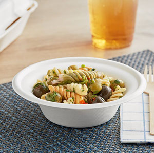 Bagasse Bowls 12oz - 6