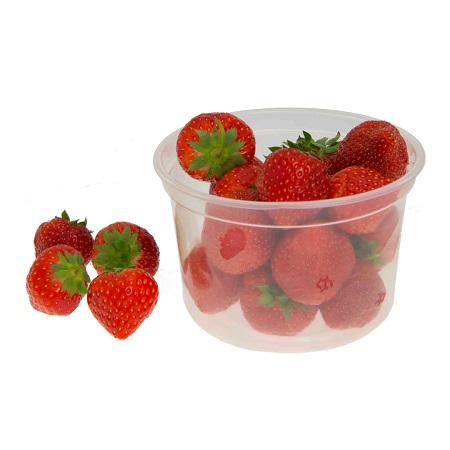 16oz Portion Pots Only PP - 50x Per Pack