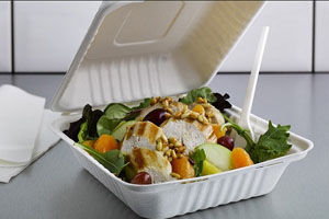 Bagasse Meal Box 1x Compartment 9