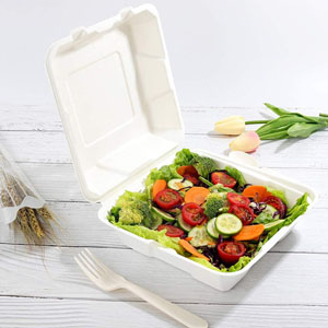 Bagasse Meal Box 1x Compartment 9