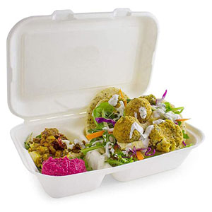 Bagasse Meal Box 2x Compartment 9