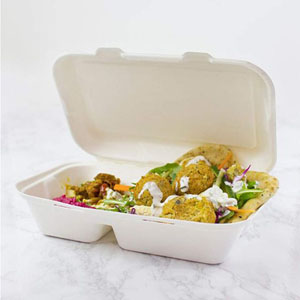 Bagasse Meal Box 2x Compartment 9