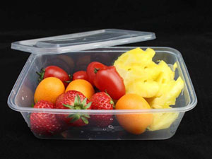 Plastic Hot Food Container with Lids - 500cc Standard Duty - 250x Per Case