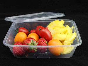 Plastic Hot Food Container with Lids - 500cc Heavy Duty - 250x Per Case