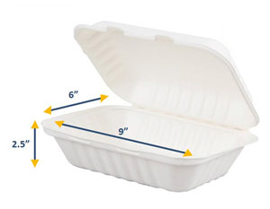 Bagasse Meal Box Medium 9