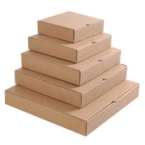 Plain Brown Pizza Boxes 16
