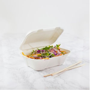 Bagasse Meal Box 7