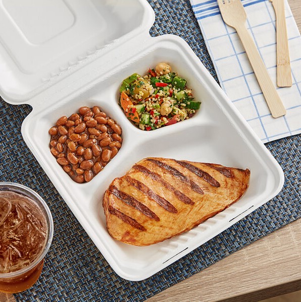 Bagasse Meal Box 9