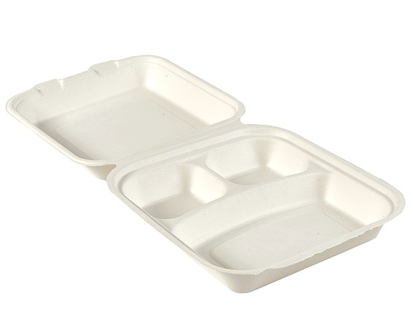 Bagasse Meal Box 9