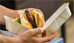 Bagasse Hamburger Box 6