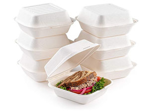 Bagasse Hamburger Box 6