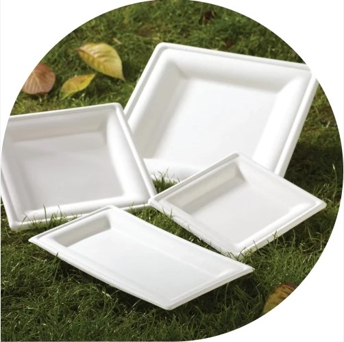 Bagasse Square Plates 15cm x 15cm - 125x Per Pack