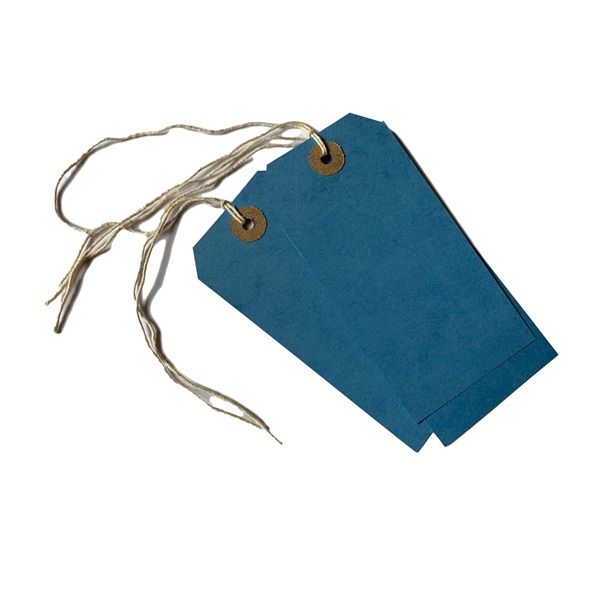 Strung Tags 120mm x 60mm Blue - 1000x Per Pack