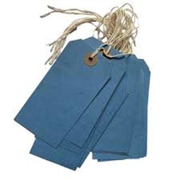 Strung Tags 120mm x 60mm Blue - 1000x Per Pack