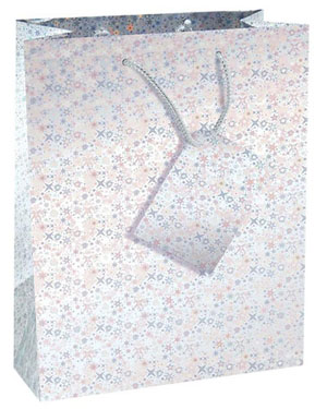 Medium Holographic Gift Bag - 12 x Assorted Pack