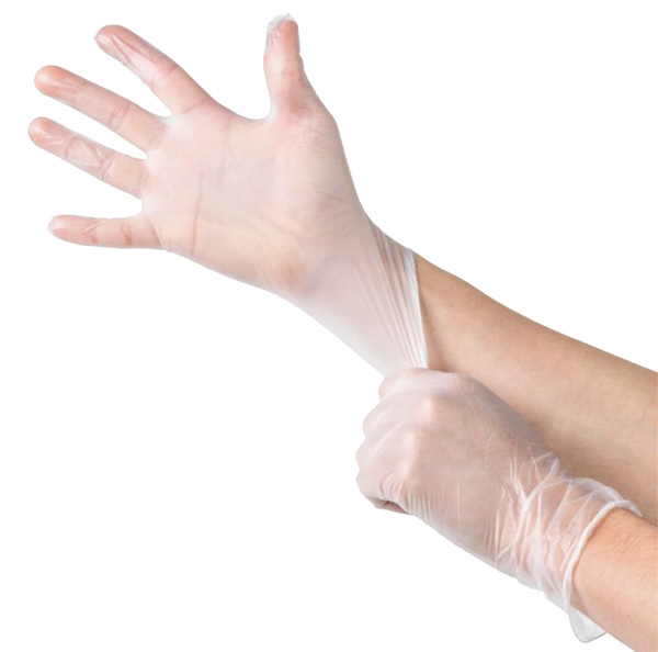 Deli Fit Gloves - Clear PF - Size Medium - Pack of 100