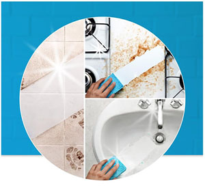 Flash All Purpose Bathroom Trigger - 800ml - 1 Per Pack