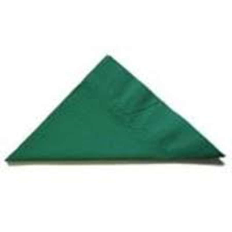 Dinner Napkins Green - 2Ply 40x40cm 4x Fold - 100x Per Pack