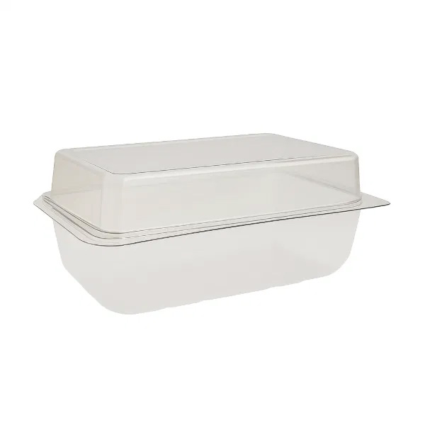 Rectangular Hinged Lid Cake Container 206 x 115 x 80mm - 40x Per Case