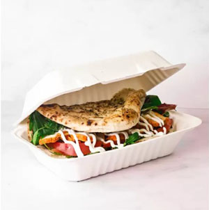 Bagasse Meal Box 9