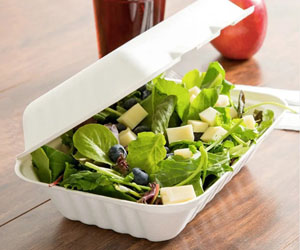Bagasse Meal Box 9