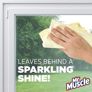 Mr Muscle Window & Glass 750ml - 1x Per Pack