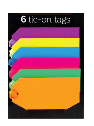 Large Neon Tie-on Gift Tags - 6 Assorted Per Pack