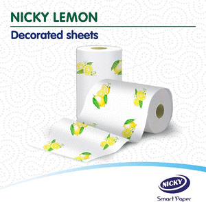 Nicky 2x Ply Premium Kitchen Paper Rolls - 2 Rolls Per Pack