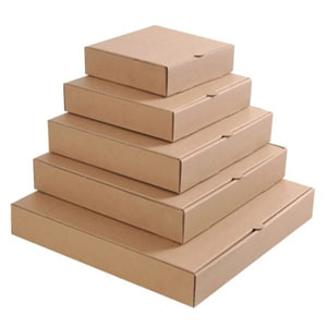 Plain Brown Pizza Boxes 12