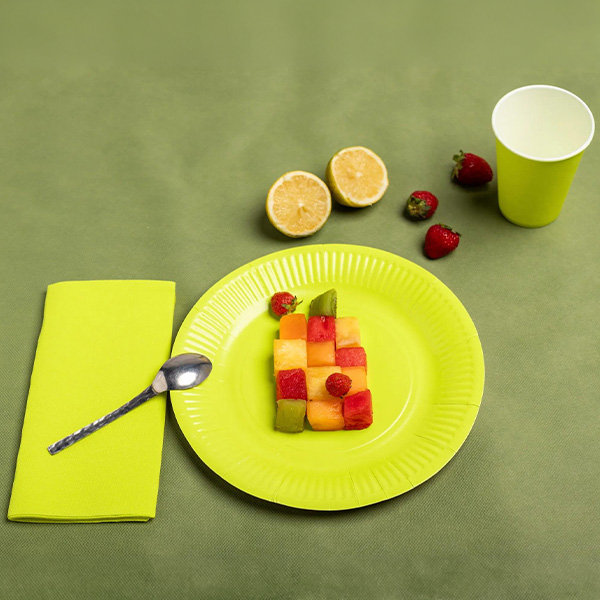 Party Plates Kiwi Green 23cm / 9inch - 20x Per Pack