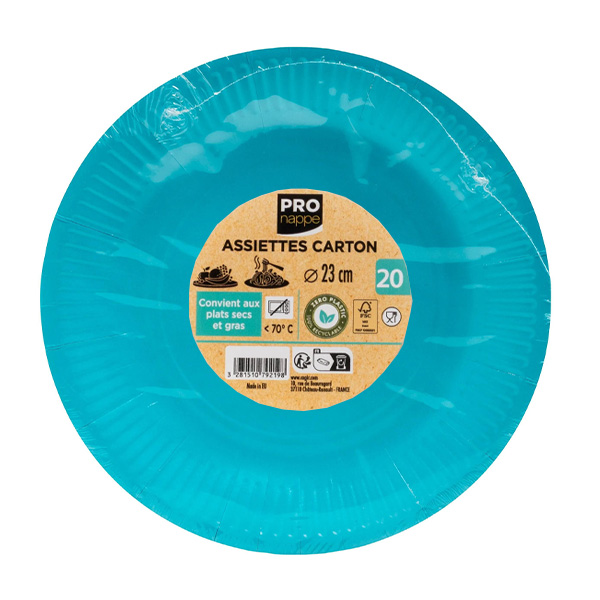 Party Plates Turquoise 23cm / 9inch - 20x Per Pack
