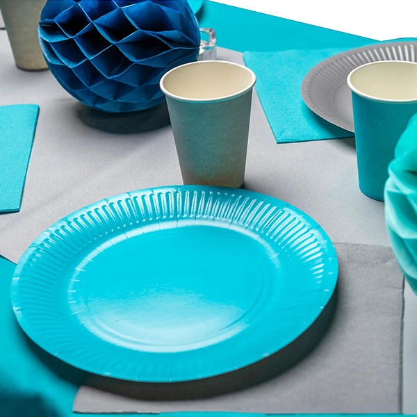 Party Plates Turquoise 23cm / 9inch - 20x Per Pack