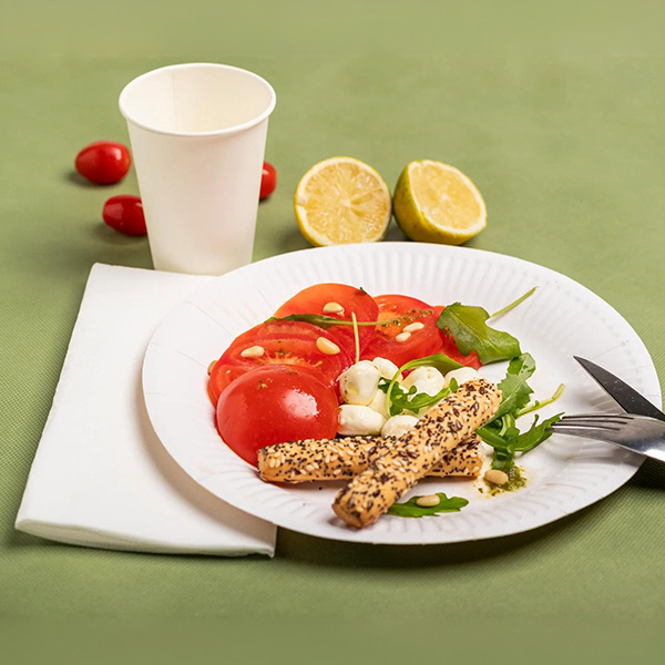 Party Plates White 23cm / 9inch - 50x Per Pack