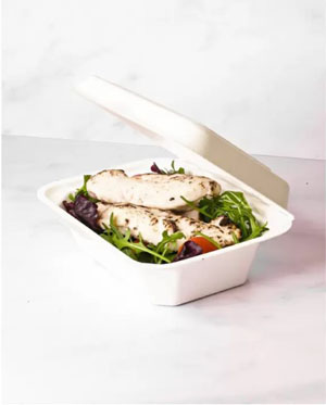 Bagasse Meal Box Small 7