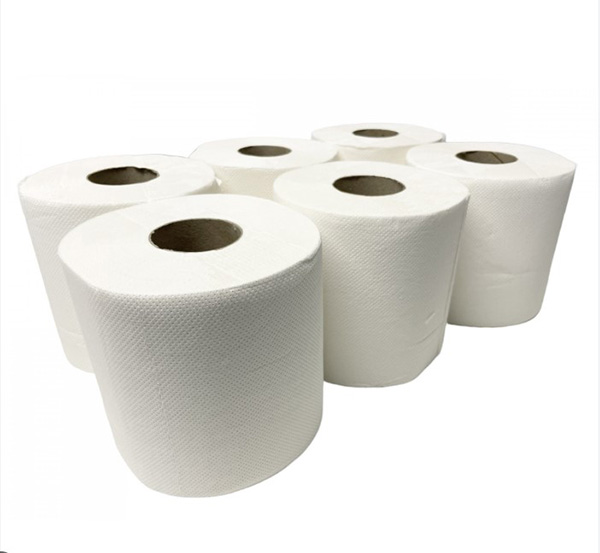 PaperNet Auto-Cut Hand Towels Rolls with Dissolve Tech - 198mm x 140m - 6x Per Pack