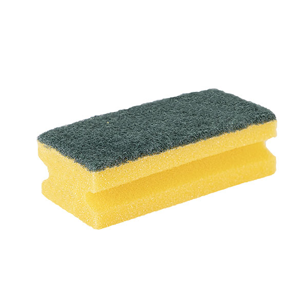 Robert Scott 13x7x4cm Scourer Pk500