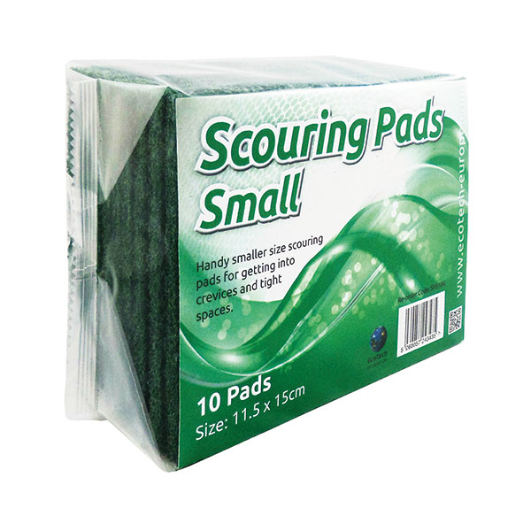 Green Economy Scourer 90X60Mm Pk10