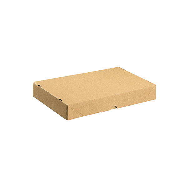 Carton/Lid 305x215x50mm Brn Pk10