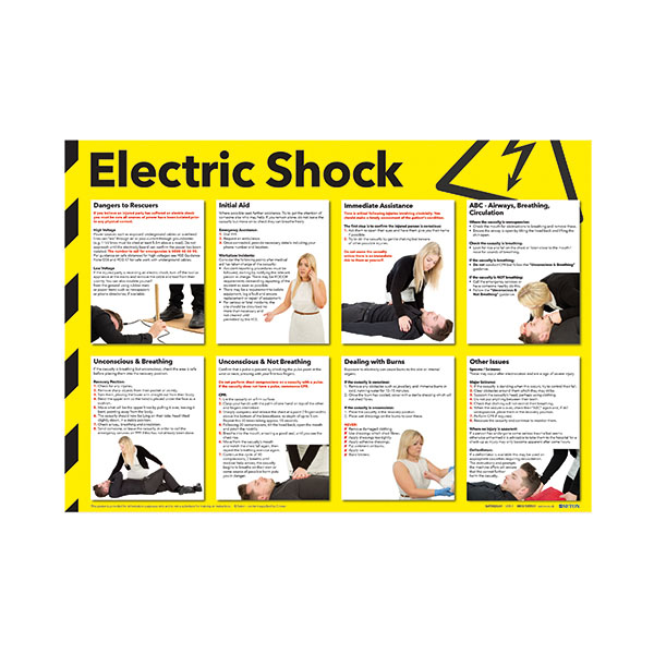 Signslab 420X590 Elec Shock Poster