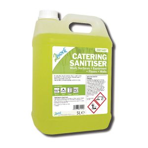 2Work Catering Sanitiser 5L