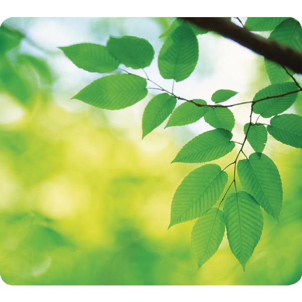 Fellowes Mouse Mat Leaf Print