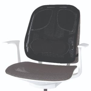 Fellowes Prof Mesh Back Support