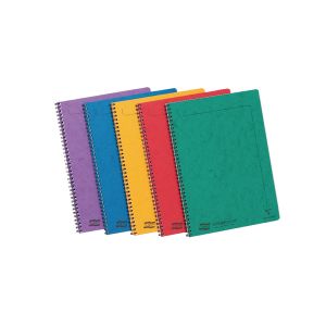 Clairefontaine Europa Ntmkr A4 Pk10