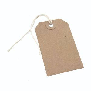 Strung Tags 146X73Mm Buff