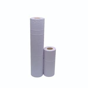 2Work Hyg Roll 2-Ply 10in Blue Pk24