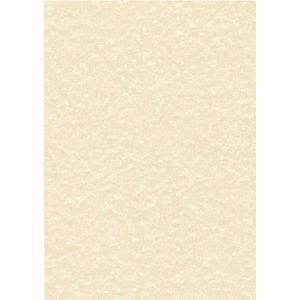 Decadry Paper 95g Parchmt Cham Pk100