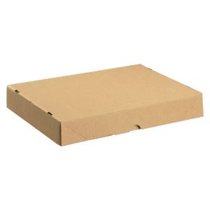 Carton/Lid 305x215x50mm Brn Pk10