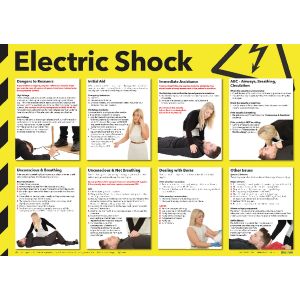 Signslab 420X590 Elec Shock Poster