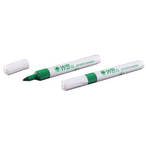 Green Whiteboard Marker Bullet Pk10